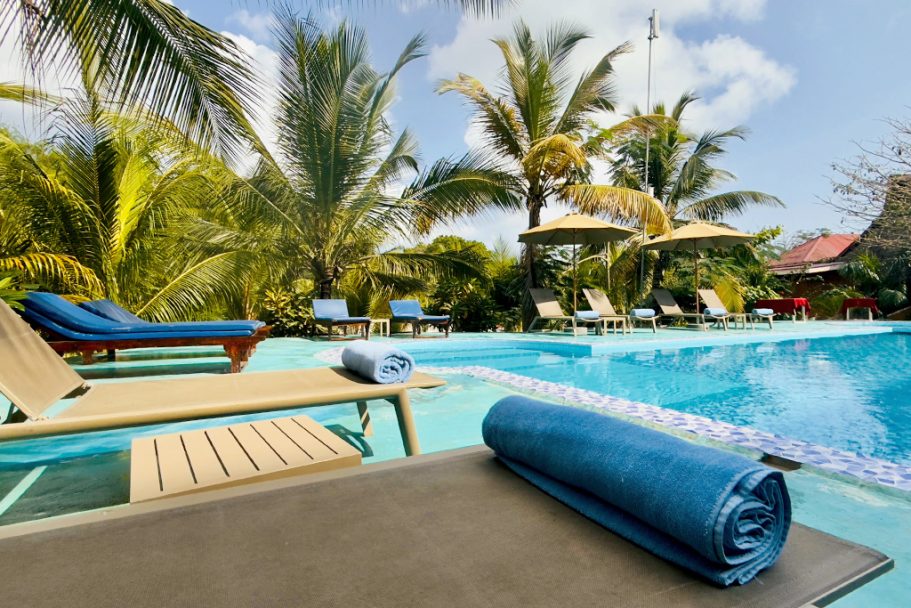 Vue d'une piscine avec des chaises longues et des palmiers en arrière-plan.